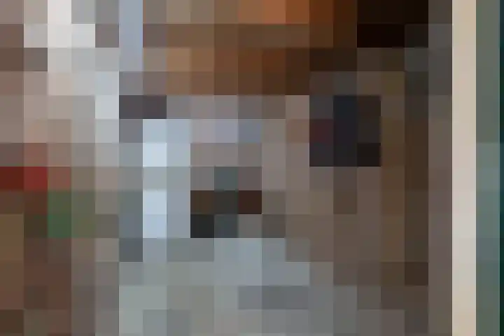 Johanna van Burenlaan 12 Almelo thumbnail 23