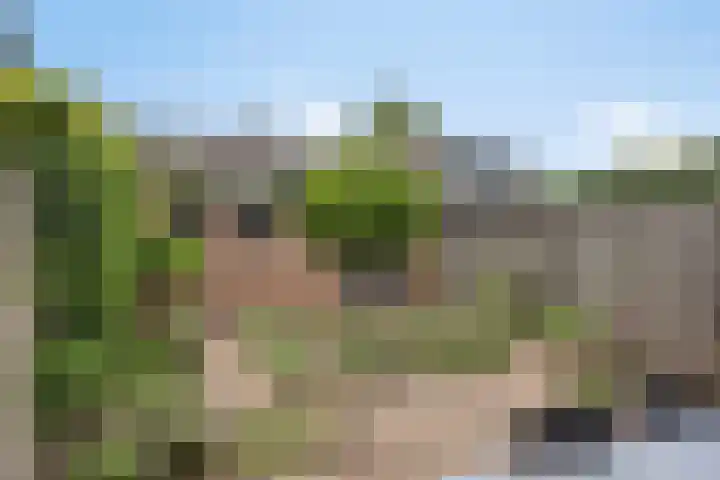 Johanna van Burenlaan 217 Oldenzaal thumbnail 27