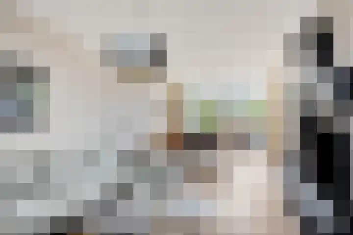 Johanna van Burenlaan 217 Oldenzaal thumbnail 5