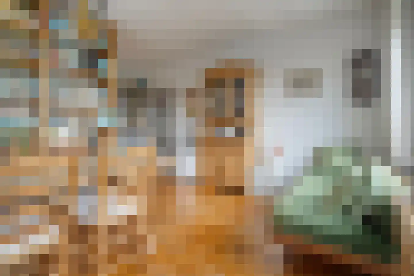 Johanna van Burenlaan 22 Almelo thumbnail 11