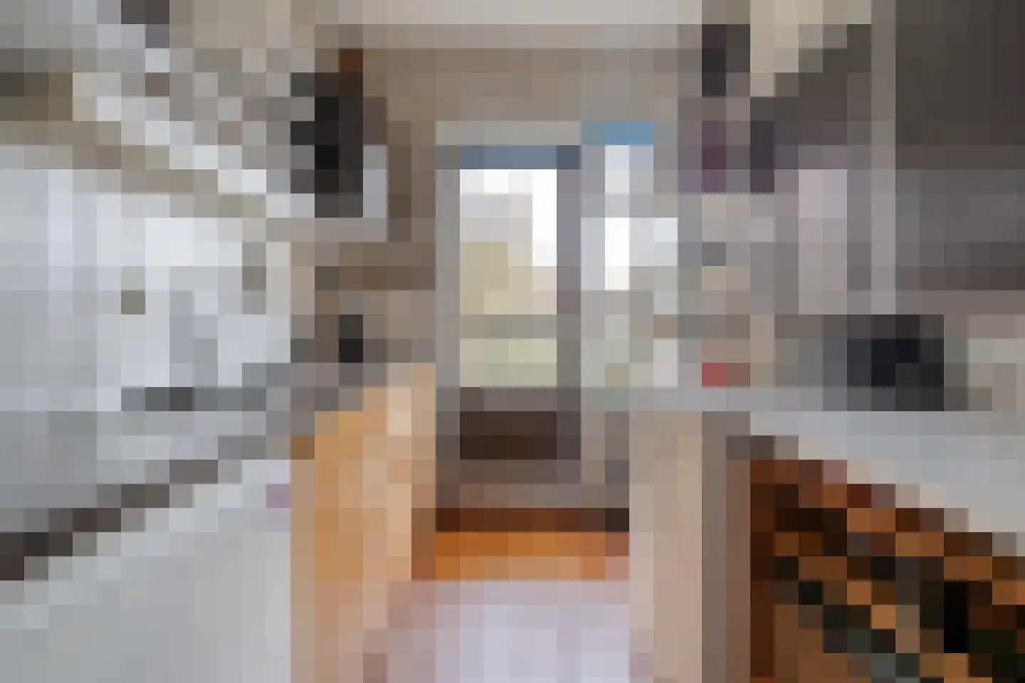 Johanna van Burenlaan 22 Almelo thumbnail 13