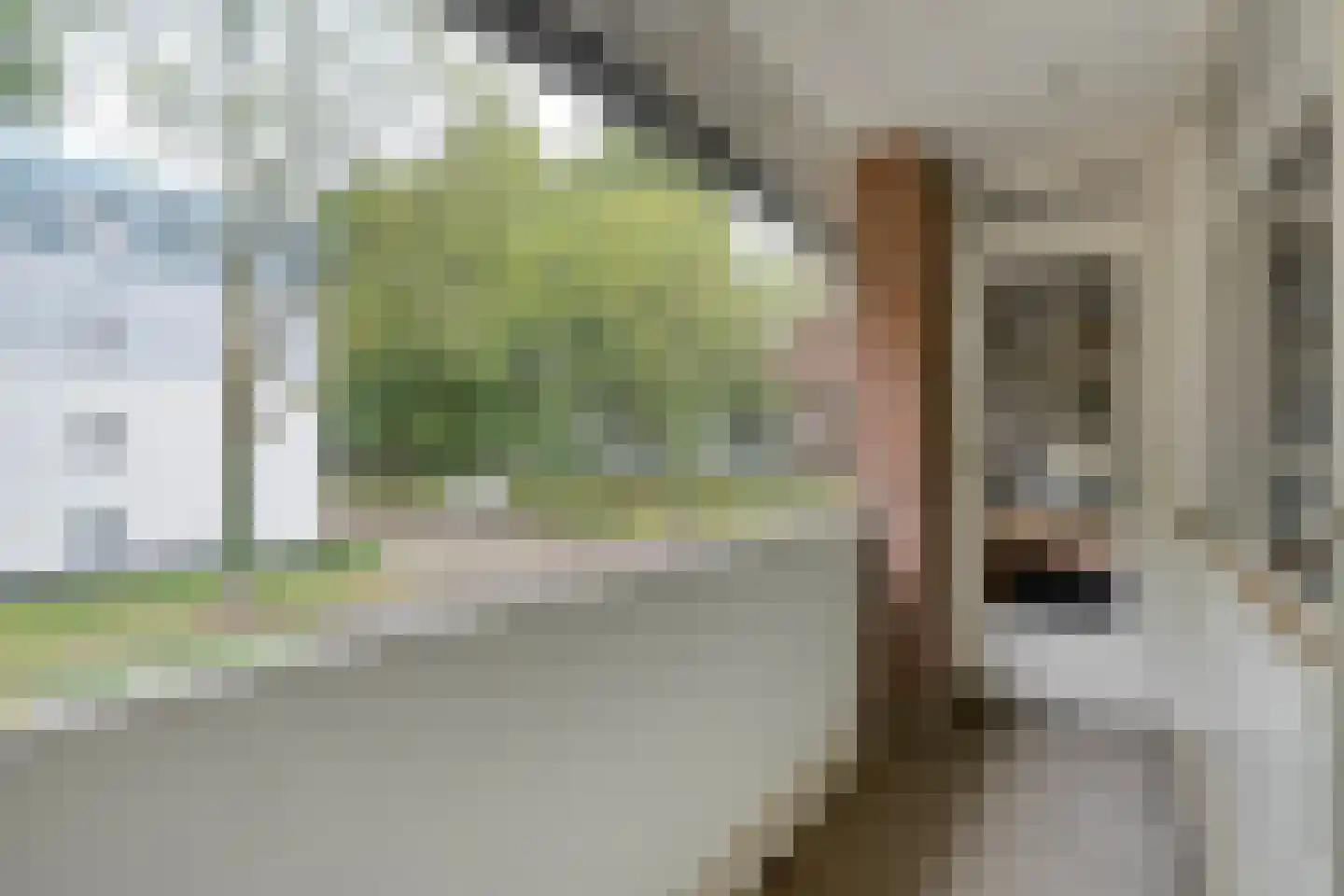Johanna van Burenlaan 22 Almelo thumbnail 16