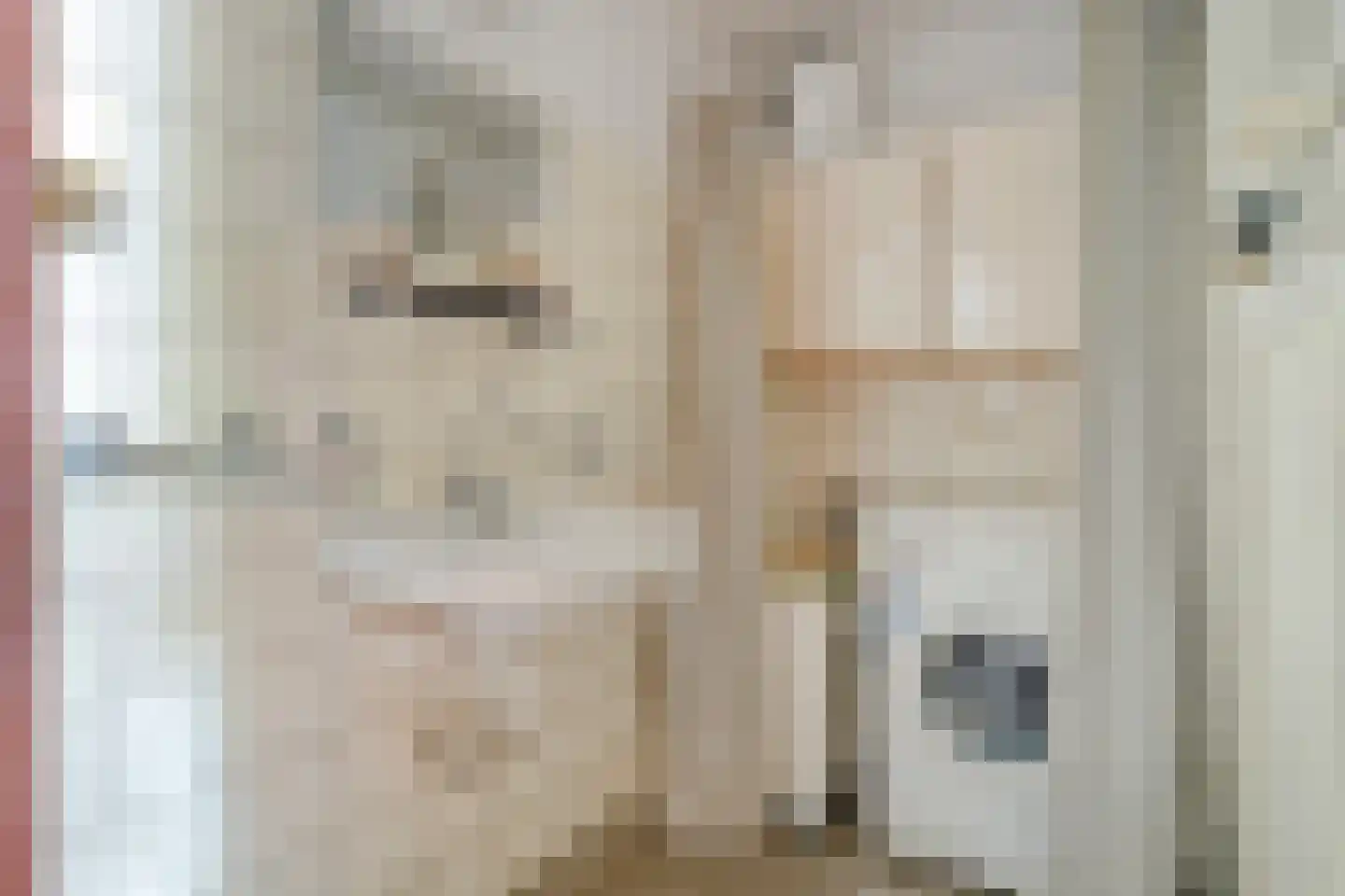 Johanna van Burenlaan 22 Almelo thumbnail 20