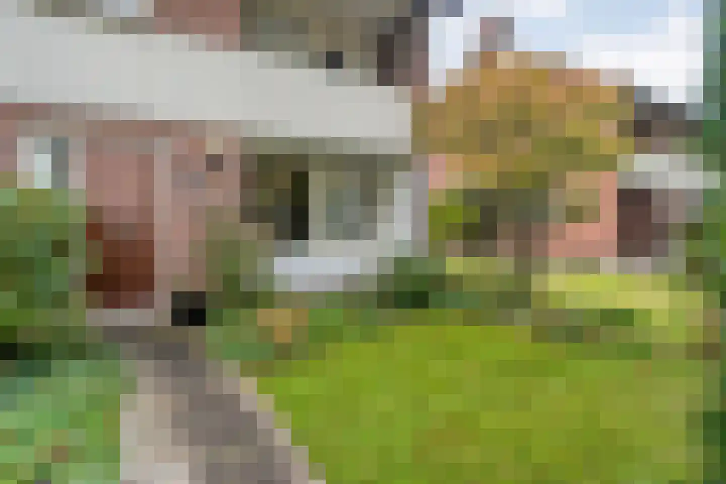 Johanna van Burenlaan 22 Almelo thumbnail 6