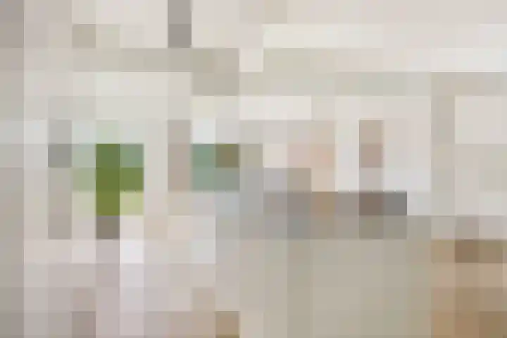 Johanna van Burenlaan 26 Almelo thumbnail 11