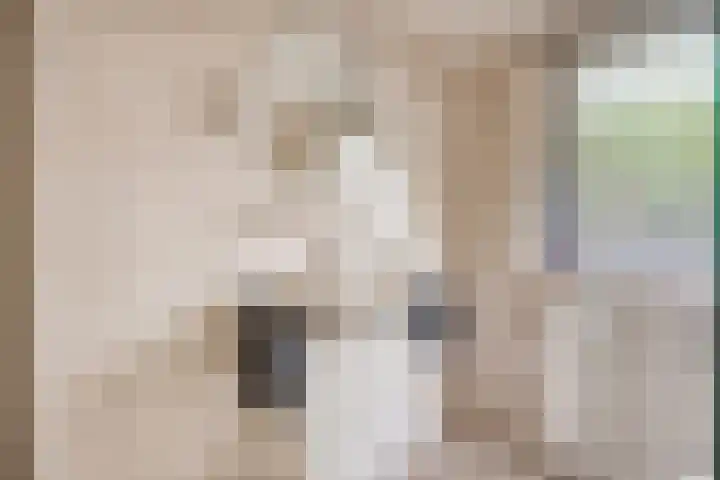Johanna van Burenlaan 26 Almelo thumbnail 17