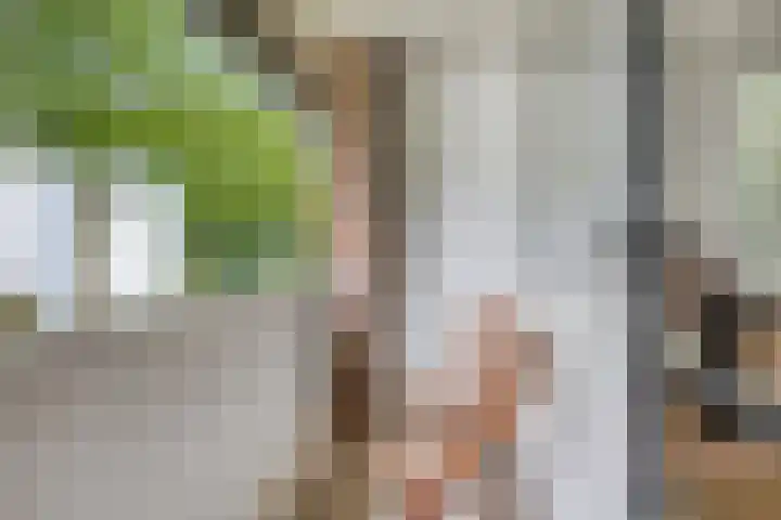 Johanna van Burenlaan 26 Almelo thumbnail 20