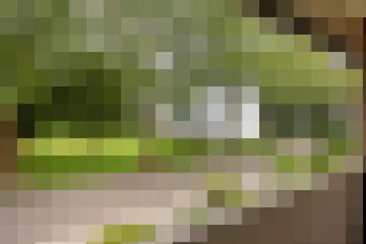 Johanna van Burenlaan 26 Almelo thumbnail 21