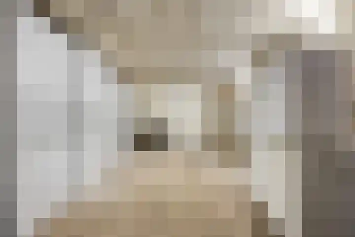 Johanna van Burenlaan 26 Almelo thumbnail 31