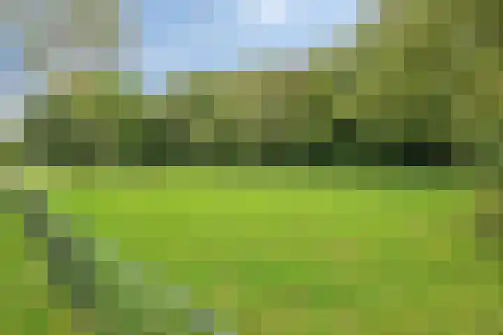 Johanna van Burenlaan 26 Almelo thumbnail 33