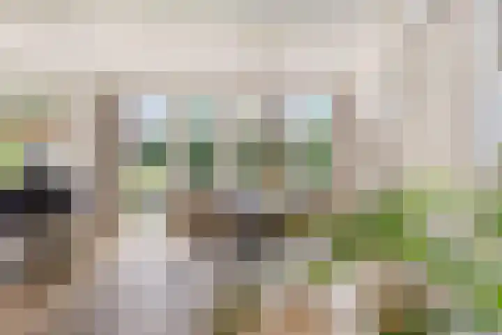 Johanna van Burenlaan 26 Almelo thumbnail 8