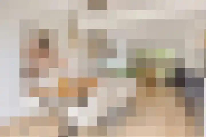 Johanna van Burenlaan 26 Almelo thumbnail 9