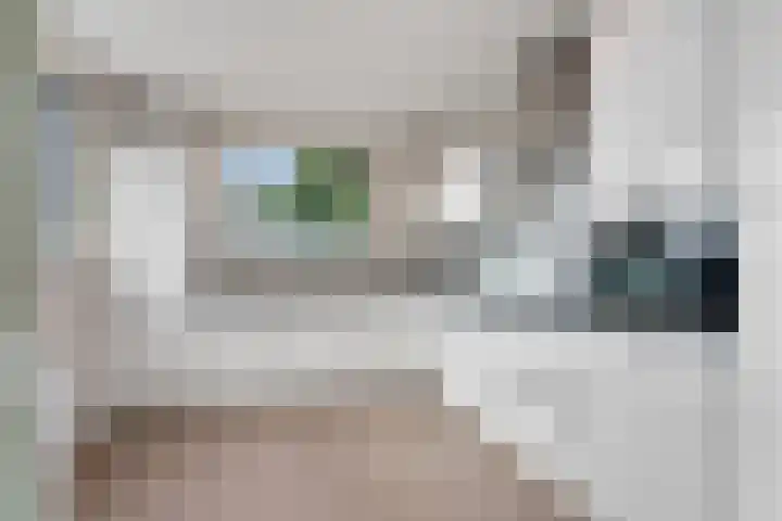Johanna van Burenlaan 44 Almelo thumbnail 13