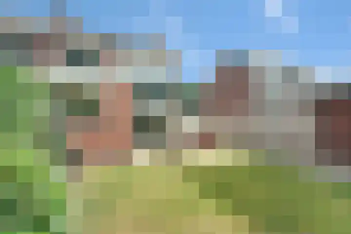 Johanna van Burenlaan 44 Almelo thumbnail 26