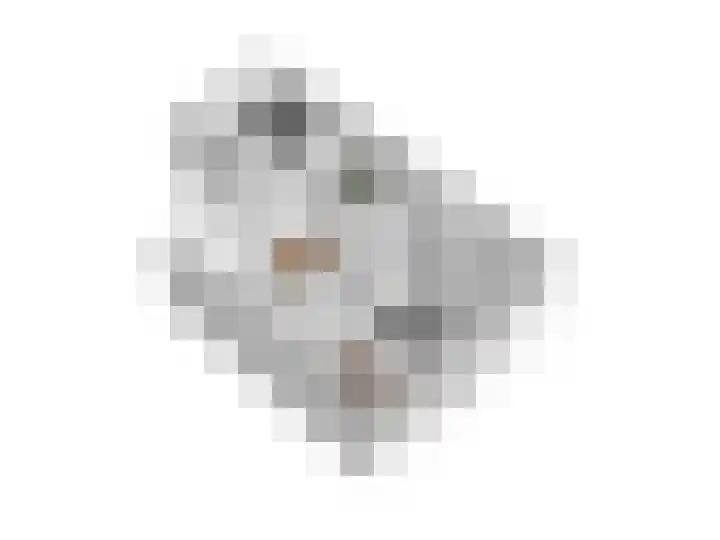 Johanna van Burenlaan 44 Almelo thumbnail 33