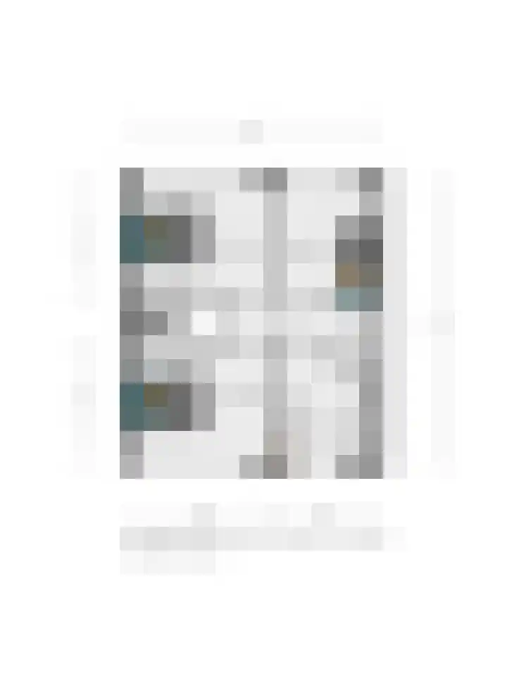 Johanna van Burenlaan 44 Almelo thumbnail 34