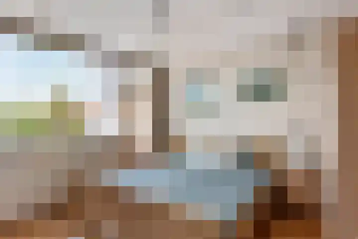 Johanna van Burenlaan 6 Almelo thumbnail 13