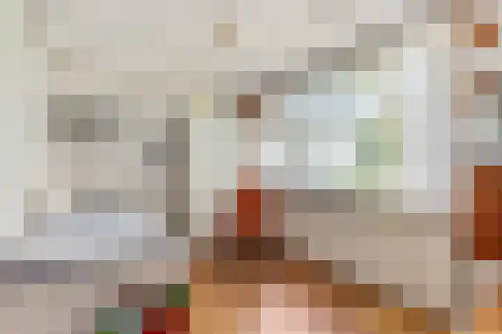 Johanna van Burenlaan 6 Almelo thumbnail 15