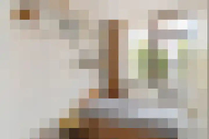 Johanna van Burenlaan 6 Almelo thumbnail 16