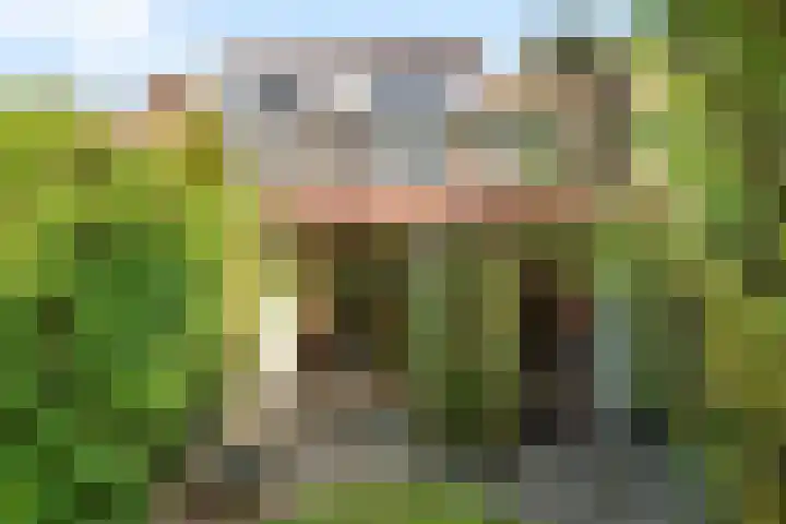 Johanna van Burenlaan 6 Almelo thumbnail 18