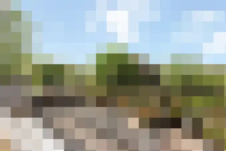 Johanna van Burenlaan 6 Almelo thumbnail 19