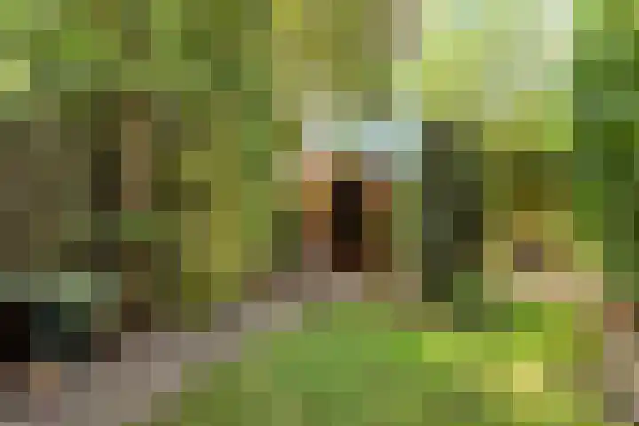 Johanna van Burenlaan 6 Almelo thumbnail 20