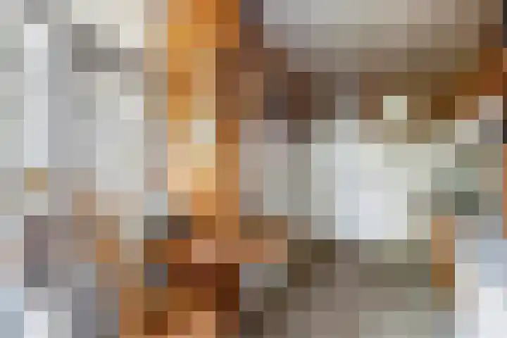Johanna van Burenlaan 6 Almelo thumbnail 9