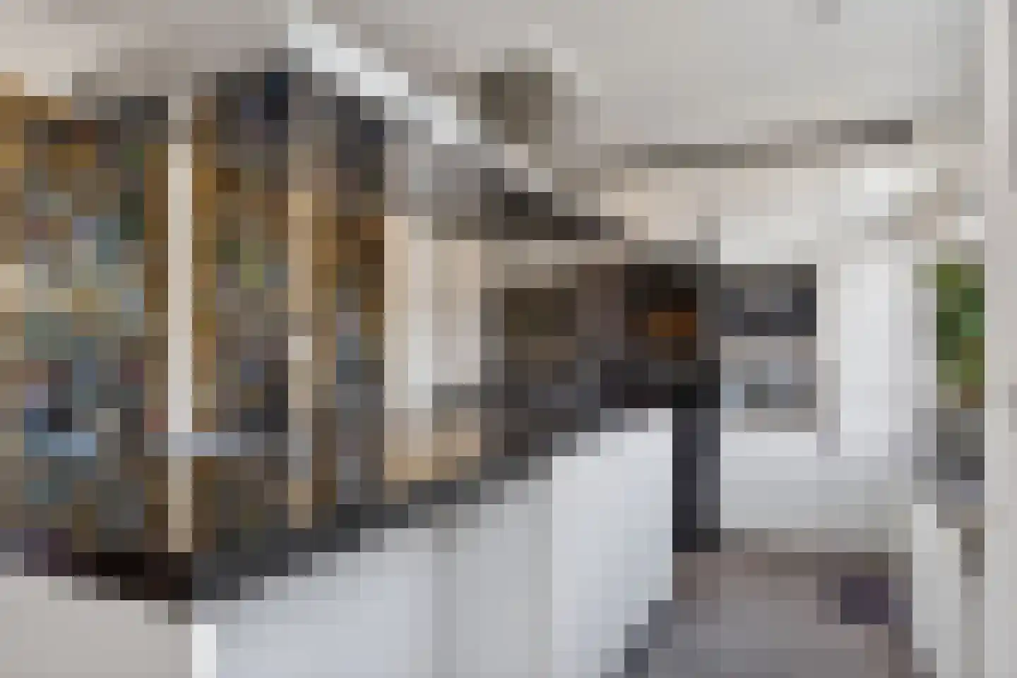 Johanna van Burenstraat 14 Hengelo thumbnail 12