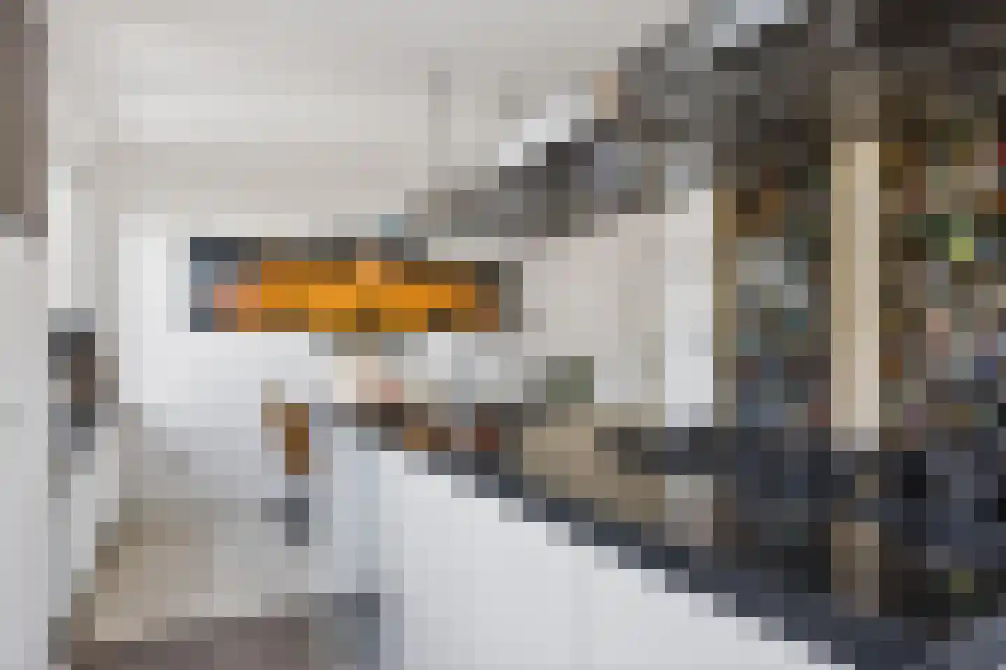 Johanna van Burenstraat 14 Hengelo thumbnail 14