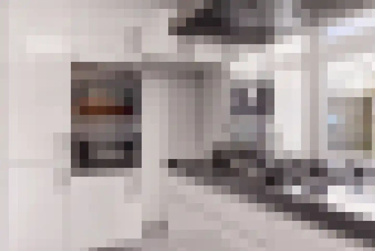 Johanna van Burenstraat 14 Hengelo thumbnail 15