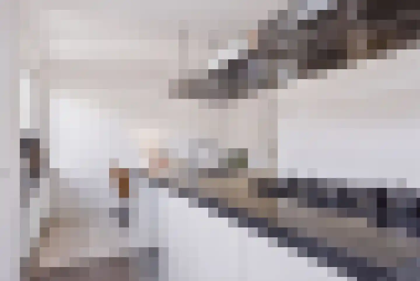 Johanna van Burenstraat 14 Hengelo thumbnail 16