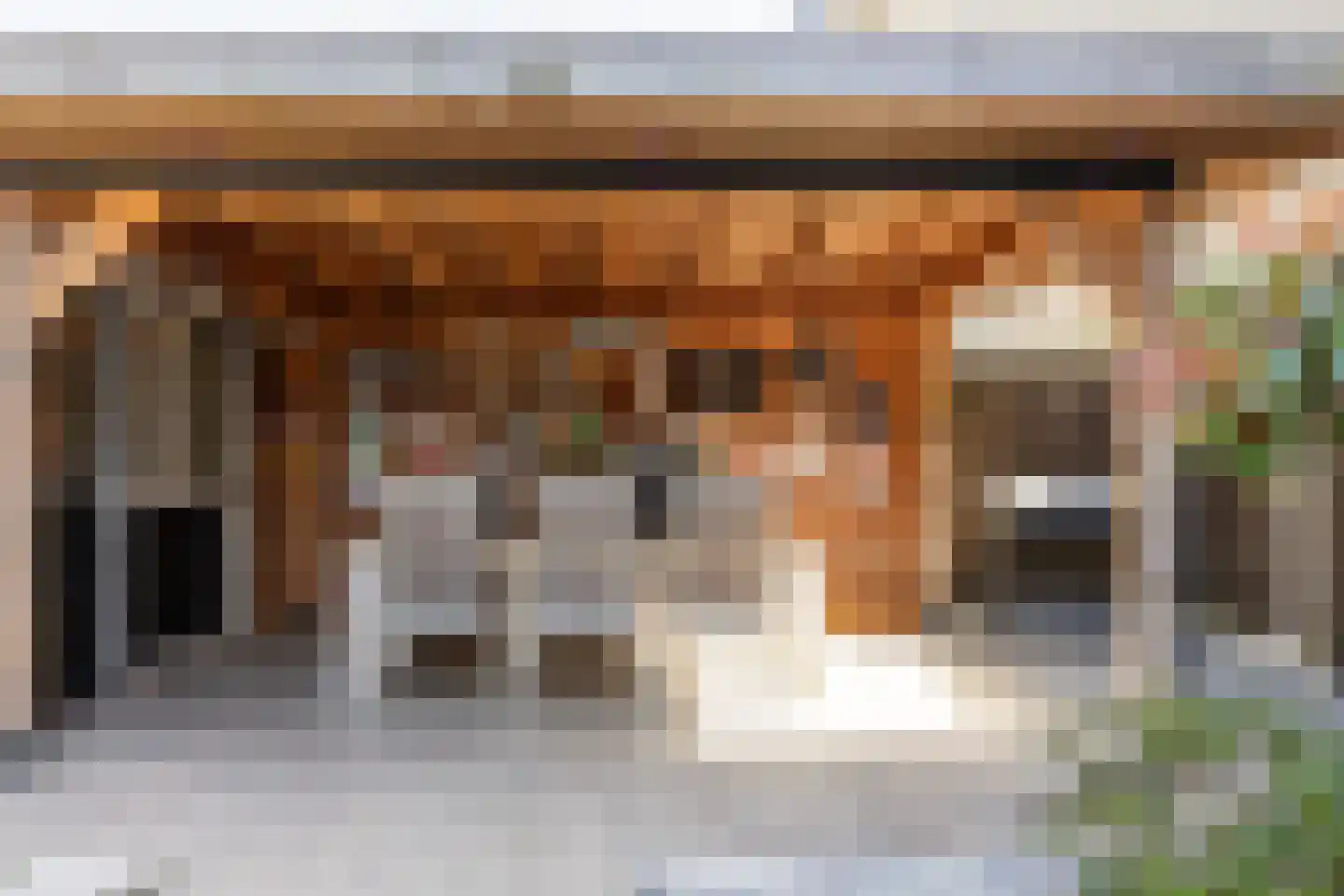Johanna van Burenstraat 14 Hengelo thumbnail 34