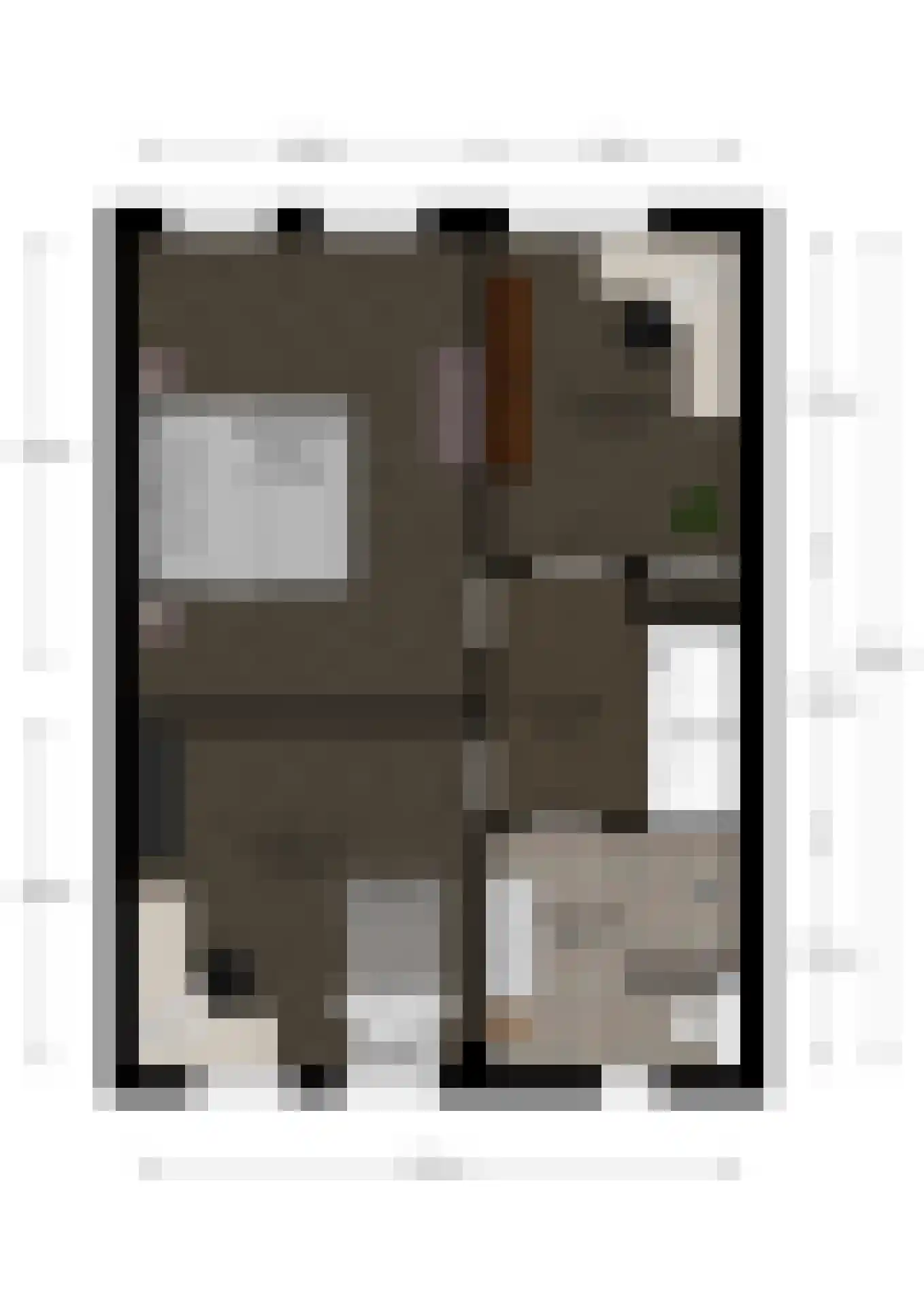 Johanna van Burenstraat 14 Hengelo thumbnail 39