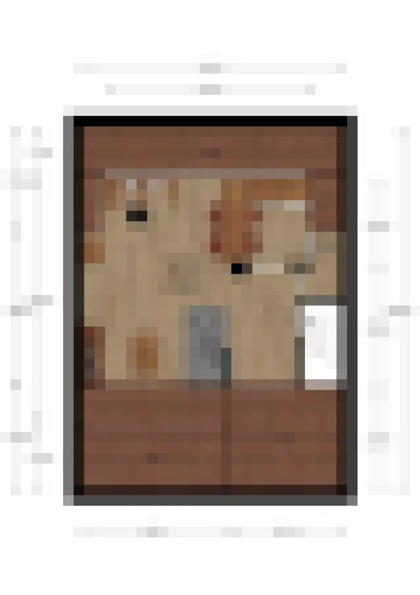 Johanna van Burenstraat 14 Hengelo thumbnail 41