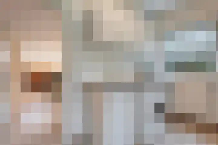 Johanna van Burenstraat 34 Hellendoorn thumbnail 32