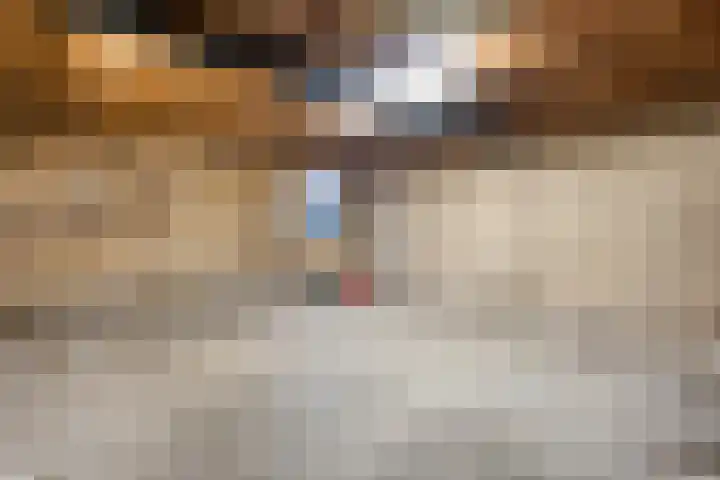 Johanna van Burenstraat 34 Hellendoorn thumbnail 33