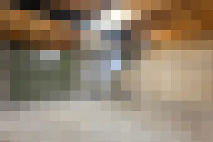 Johanna van Burenstraat 34 Hellendoorn thumbnail 34