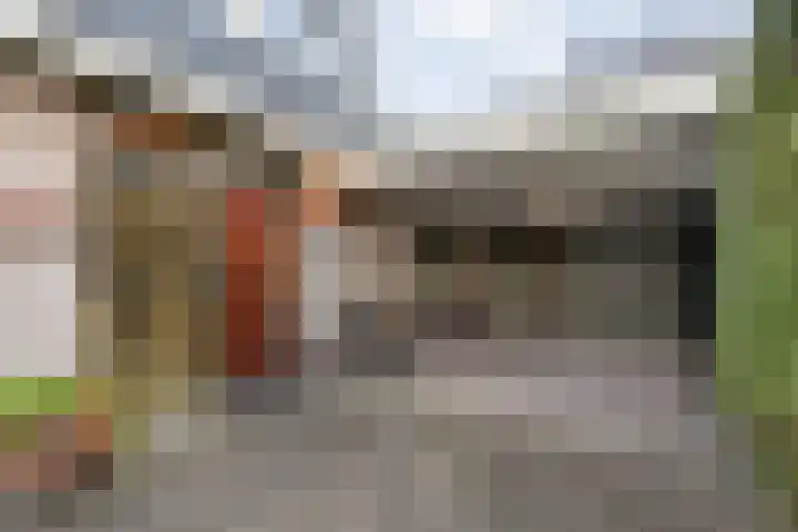 Johanna van Burenstraat 34 Hellendoorn thumbnail 4