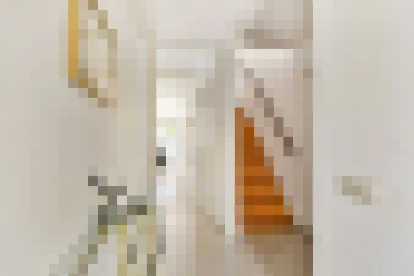 Johanna van Duynstraat 17 Rotterdam thumbnail 12