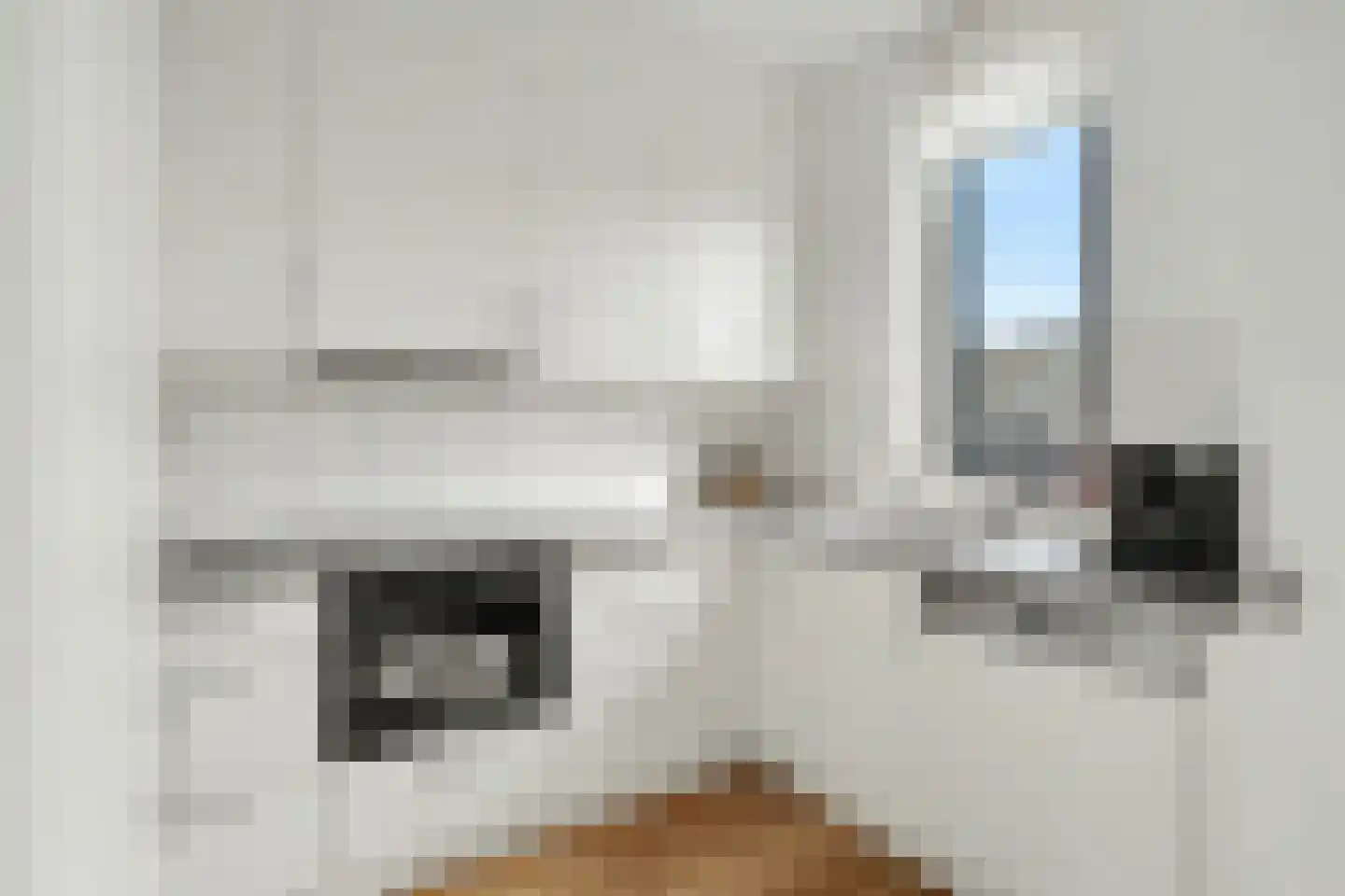 Johanna van Gulikstraat 19 Gorinchem thumbnail 20