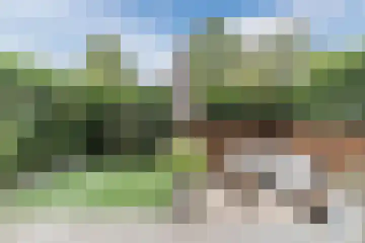 Johanna van Gulikstraat 21 Gorinchem thumbnail 10