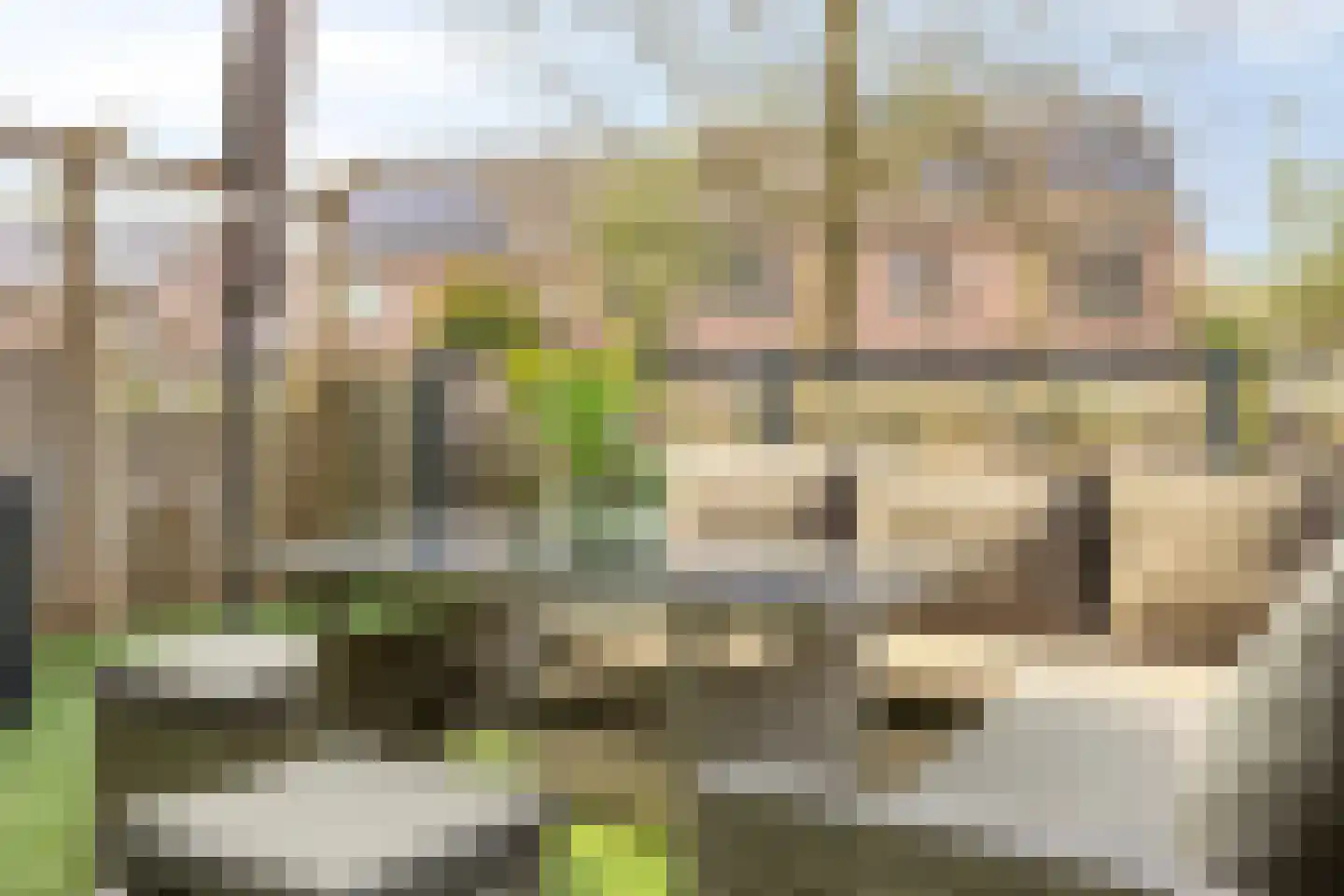 Johanna van Gulikstraat 45 Gorinchem thumbnail 32