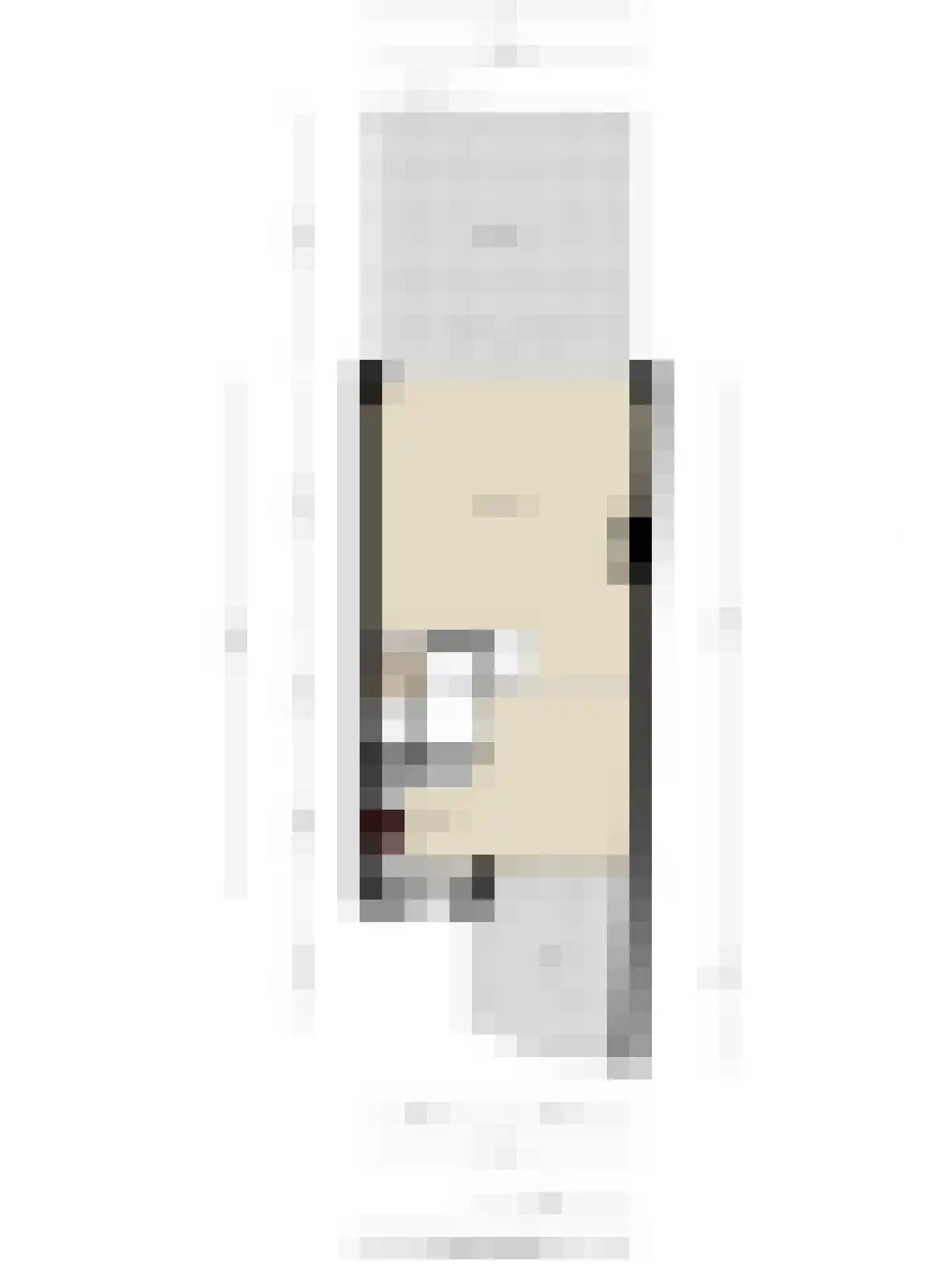 Johanna van Gulikstraat 45 Gorinchem thumbnail 39