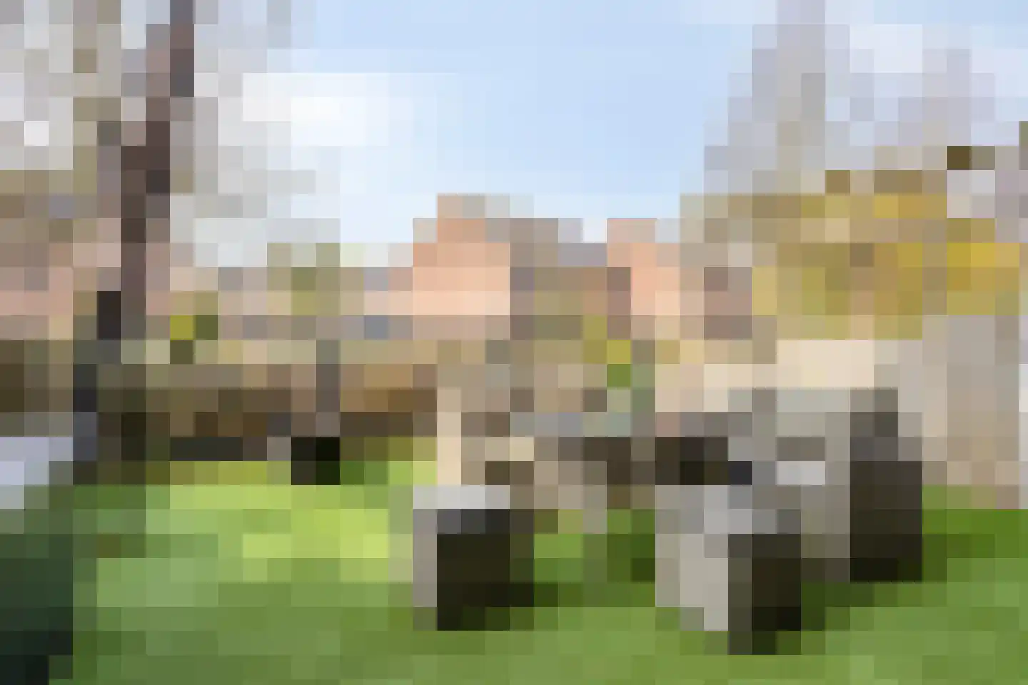 Johanna van Gulikstraat 45 Gorinchem thumbnail 4
