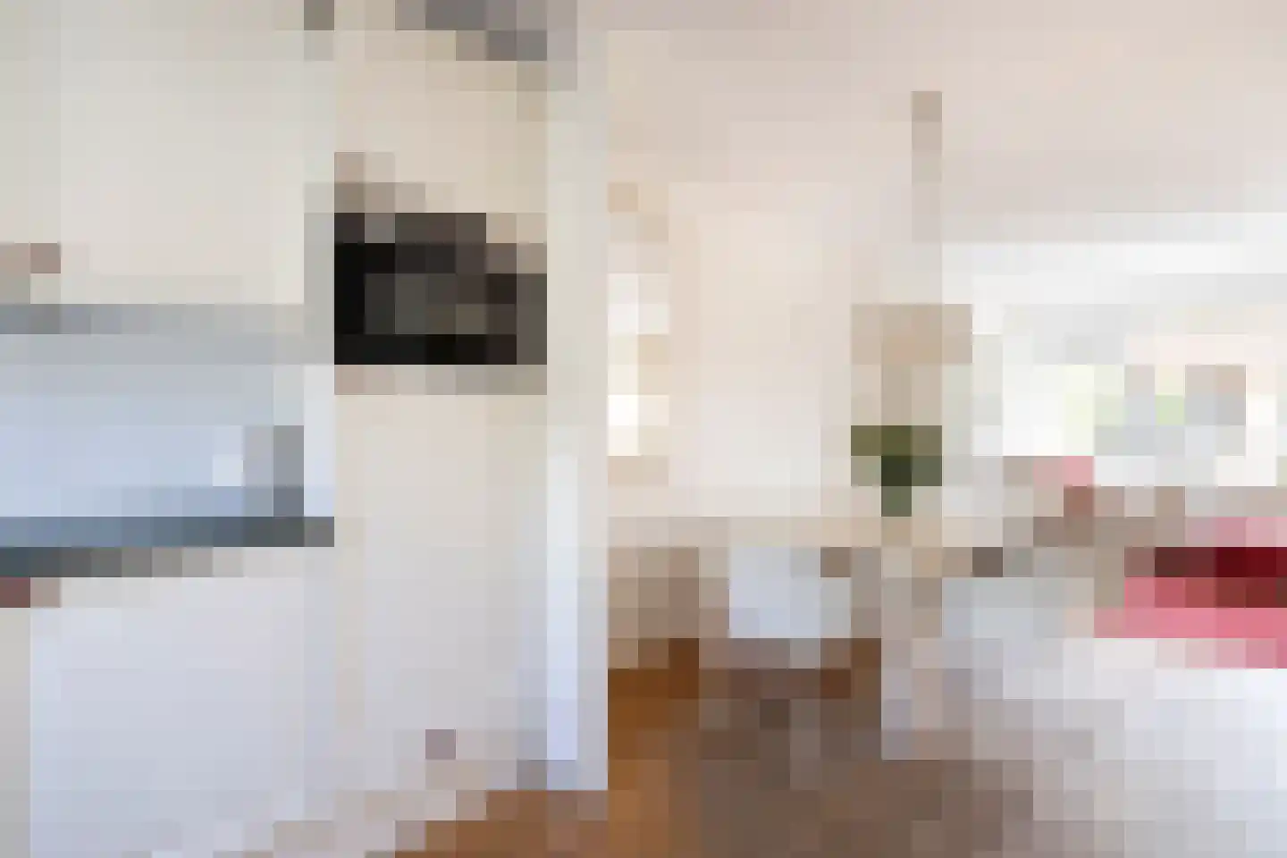 Johanna van Heukelomstraat 12 Haarlem thumbnail 10