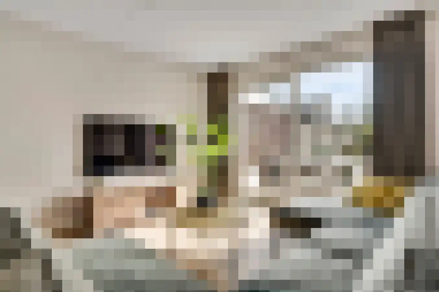 Johanna van Heverleestraat 9 Helmond thumbnail 20
