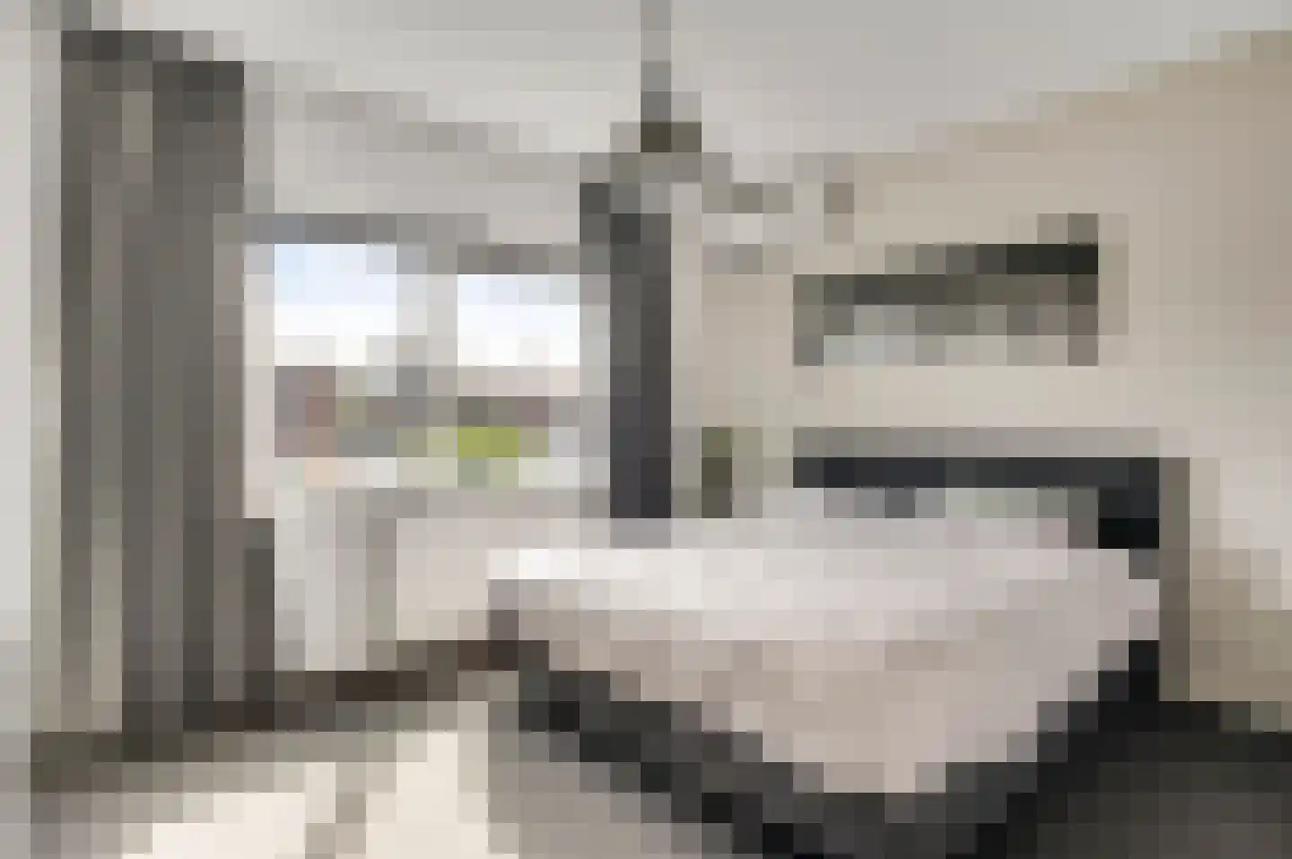 Johanna van Heverleestraat 9 Helmond thumbnail 27