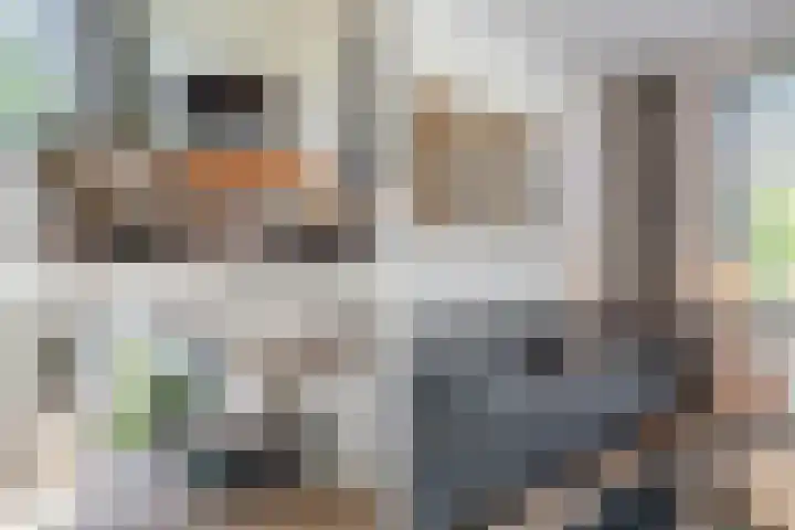 Johanna van Hoornstraat 11 Noordwijk thumbnail 13