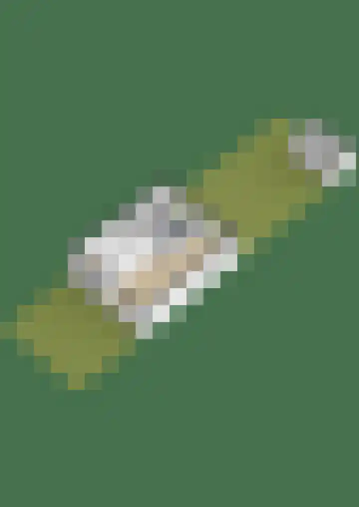 Johanna van Hoornstraat 11 Noordwijk thumbnail 59
