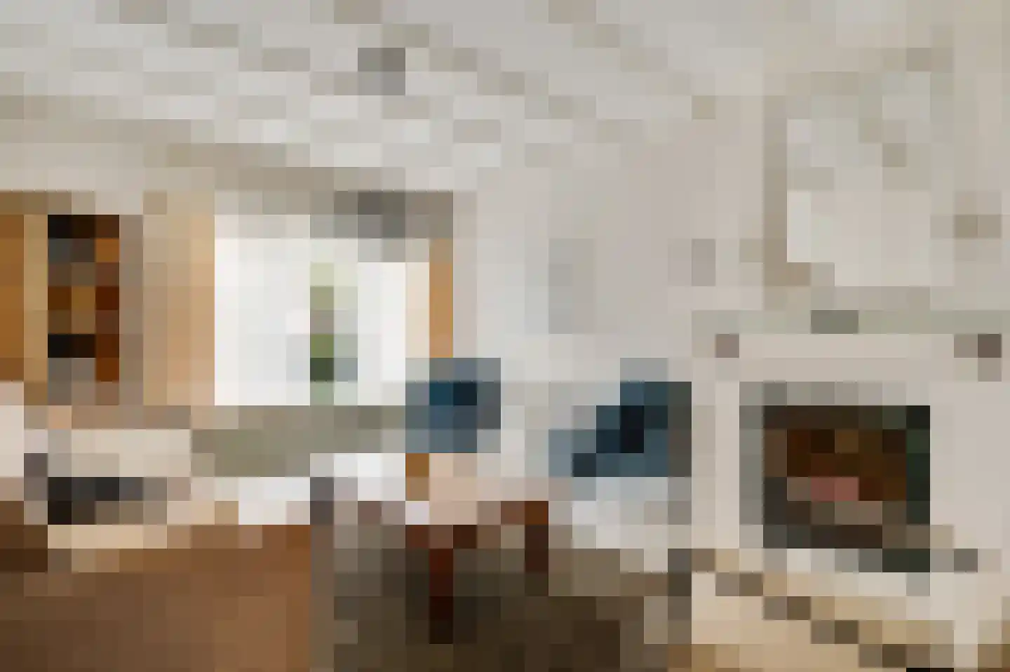 Johanna van Polanenstraat 20 Weert thumbnail 5